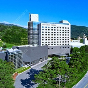 휘닉스파크 콘도 양도합니다. (7.25~7.27)