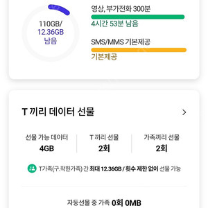 SKT데이터 2G 3천원판매