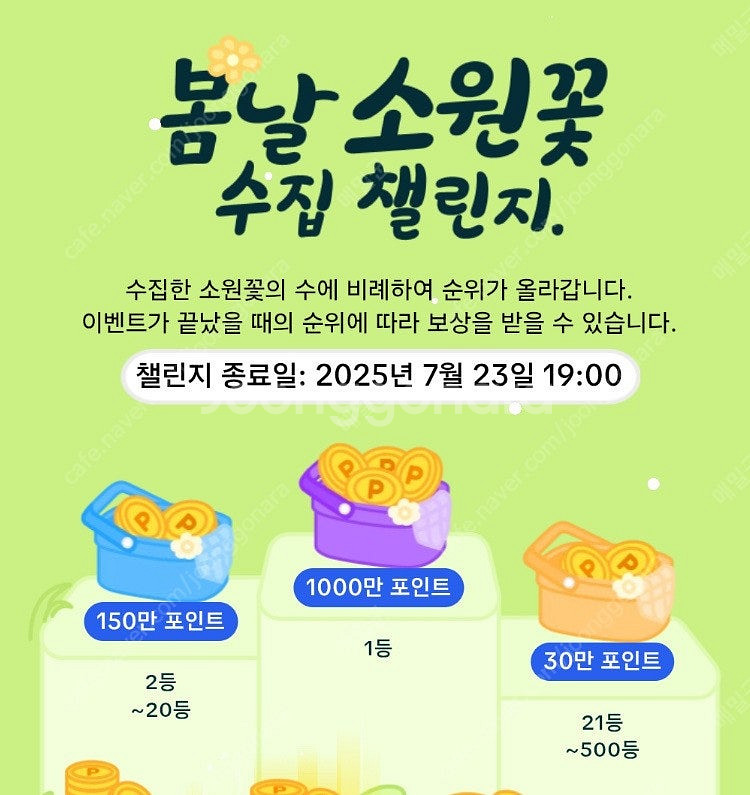 틱톡 야시장 소원꽃 미접 3개 일괄 2700원 판매해요--0