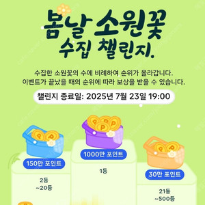틱톡 야시장 소원꽃 미접 3개 일괄 2700원 판매해요