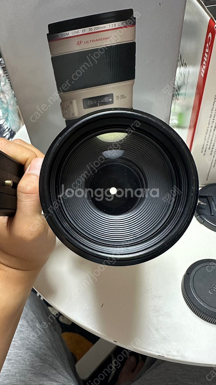 canon rf 100-500mm 백오백 렌즈 판매--2