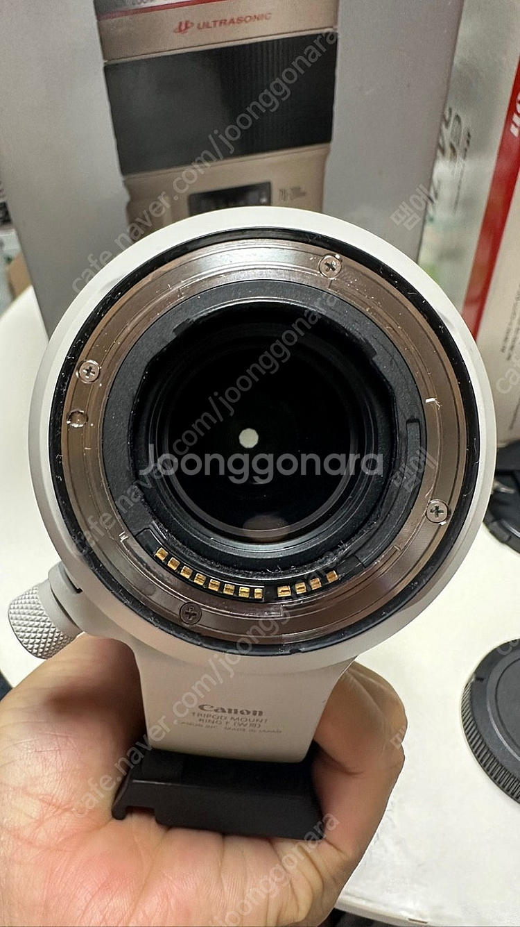canon rf 100-500mm 백오백 렌즈 판매--3