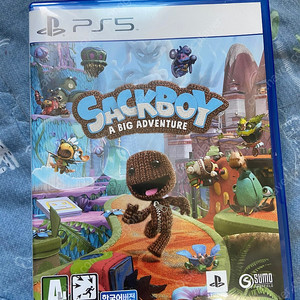 PS5 게임(색보이, 갓오브워)