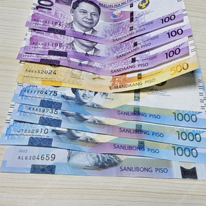 4800 필리핀 페소 (PHP)