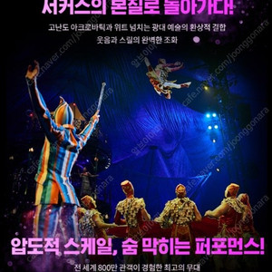 태양의서커스 쿠자 부산