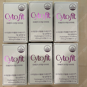 싸이토핏 리세린지 수국잎 새상품