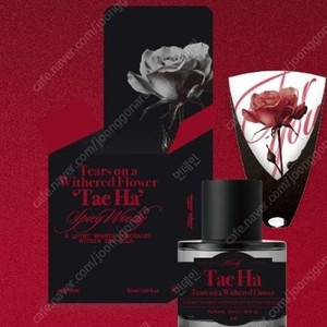 시든 꽃에 눈물을 텀블벅 펀딩 태하해수 향수세트 판매합니다