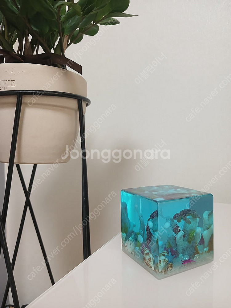 바다 조각 레진큐브 (거북이, 해파리 등)--0