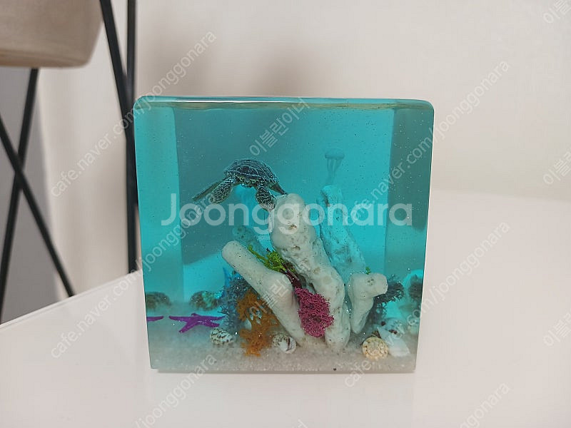 바다 조각 레진큐브 (거북이, 해파리 등)--2