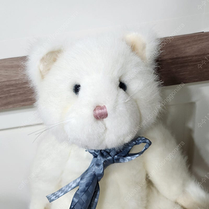 보이즈베어 대형 파란 리본 흰 고양이 미묘 키덜트 빈티지 인형