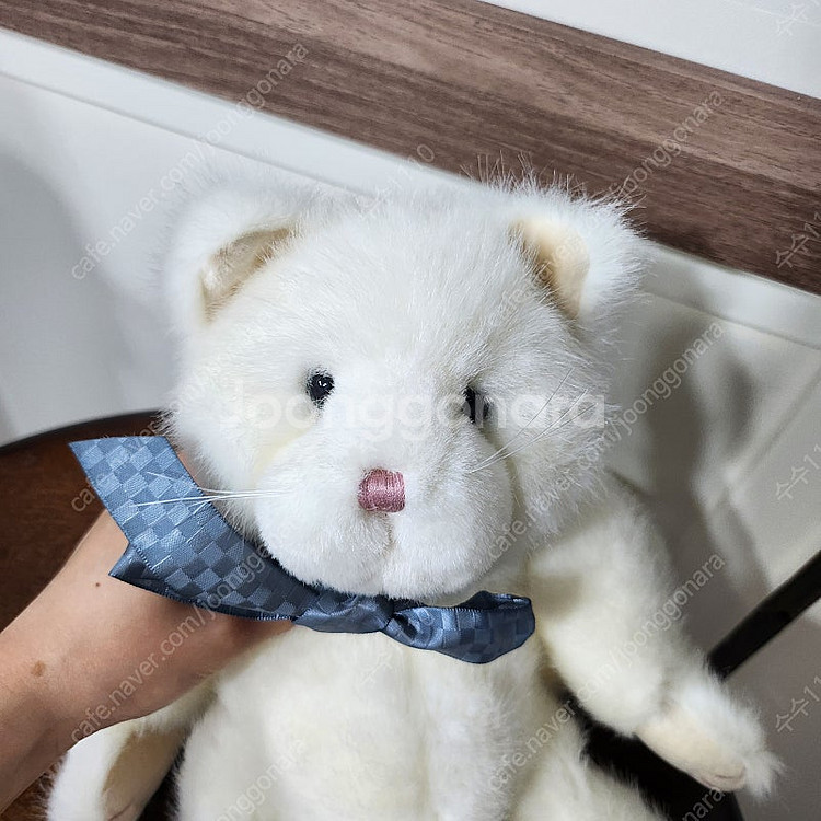 보이즈베어 대형 파란 리본 흰 고양이 미묘 키덜트 빈티...--4