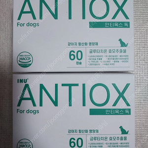 강아지 항산화제 아이누 안티옥스독2팩