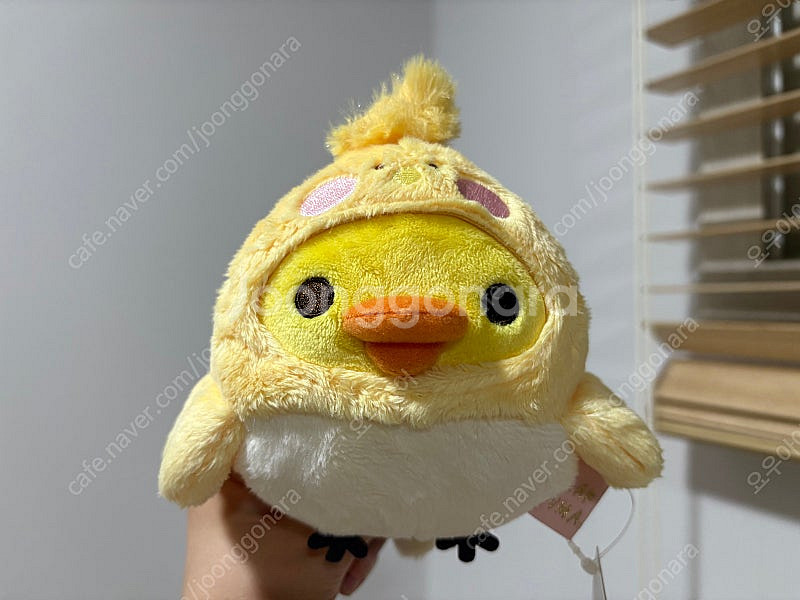 키이로이토리 병아리 새 인형--0