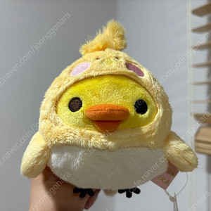 키이로이토리 병아리 새 인형