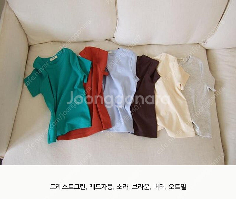 드타미 오가닉코튼 슬림골지티 S 랑 L (가격 진짜 많...--1
