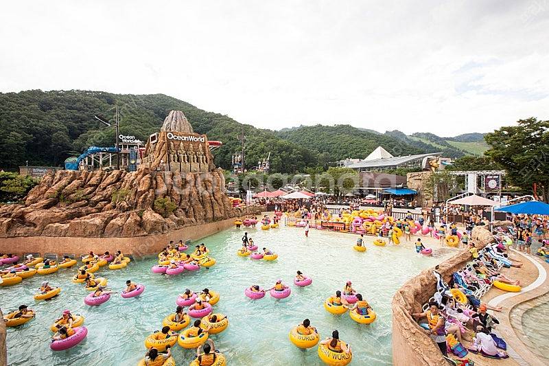 (8월 1일 2일) 홍천 비발디파크 소노펠리체 골드스위...--0