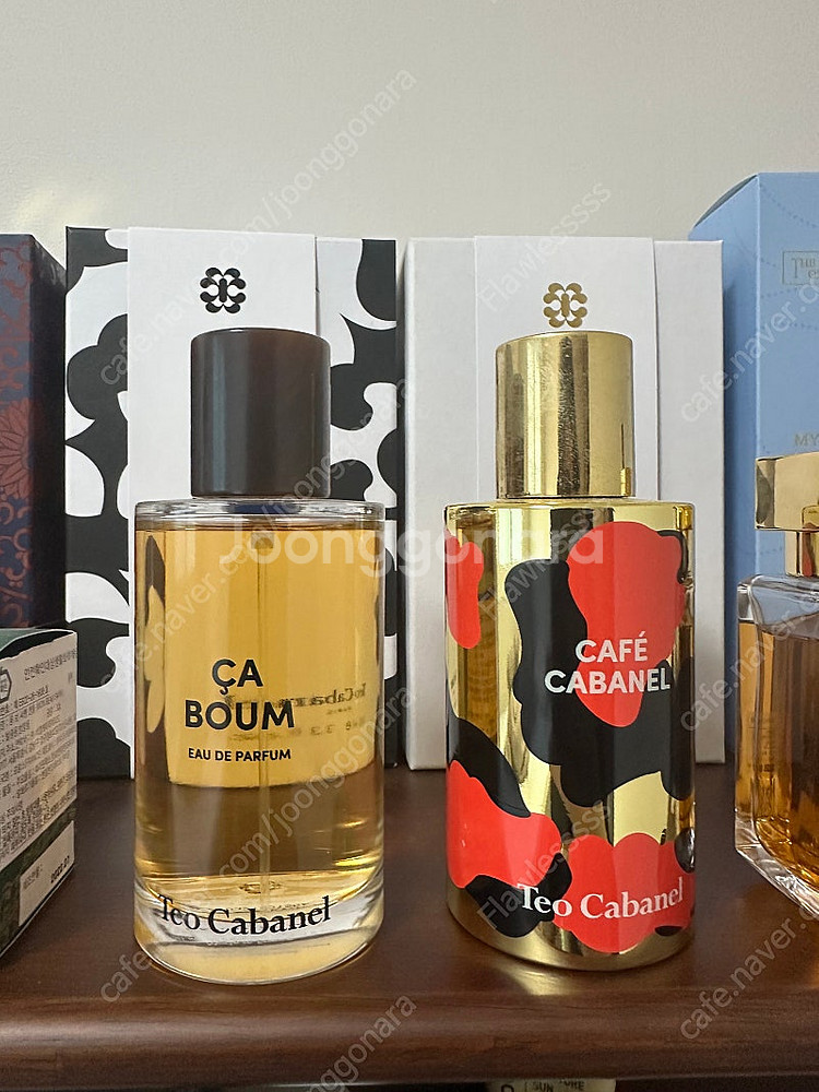 테오카바넬 카페 카바넬 프리미엄 향수 100ml--2