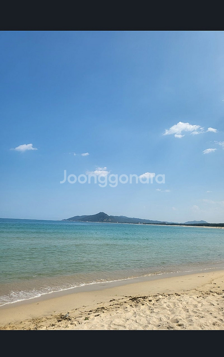 영덕 고래불 해수욕장 6인용카라반 7월25-26 금토--5