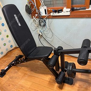 제너럴라인 프라이빗 인클라인벤치