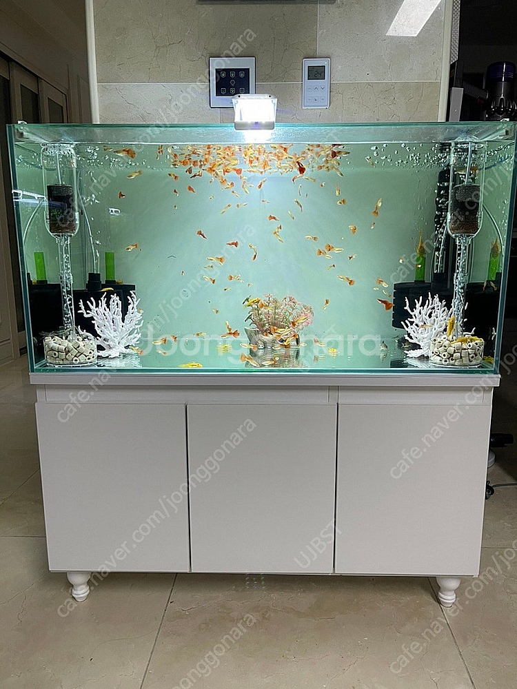 (경기 북부) 프리미엄 3자 광폭 수조 90x45x45...--0