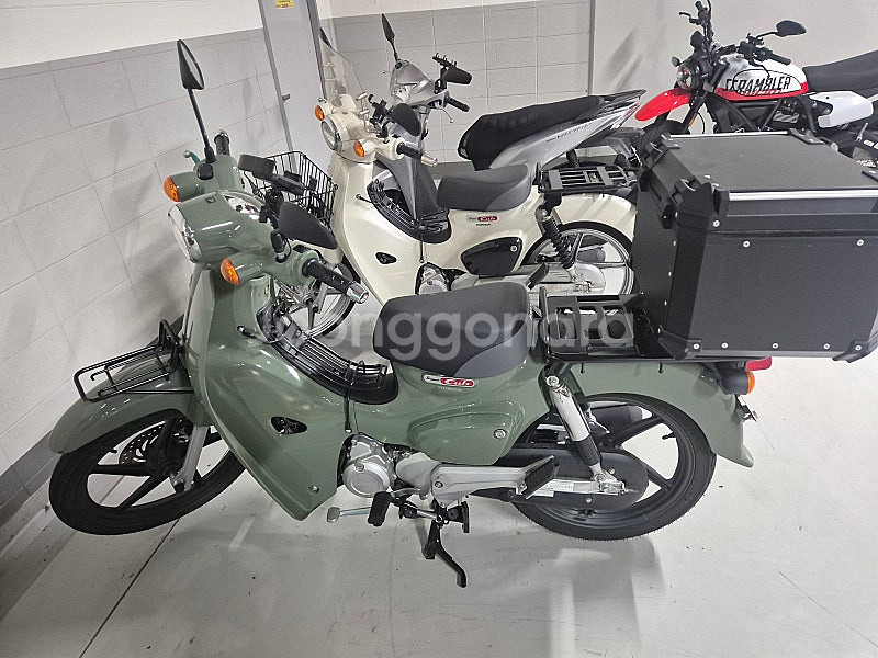 24년식 슈퍼커브 110 올리브그린 1500km--0