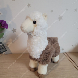 에코네이션 알파카 인형