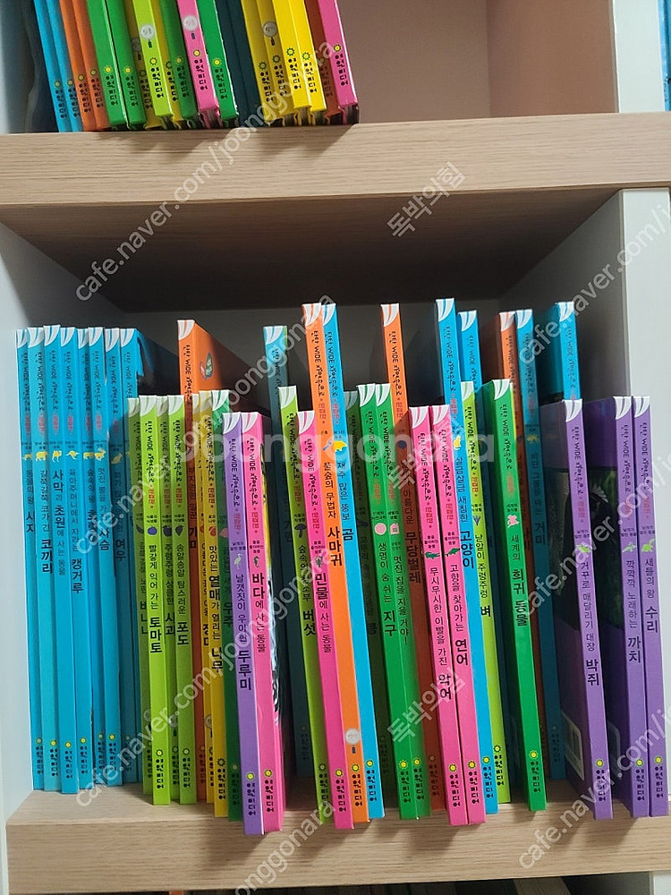 탄탄 와이드 자연속으로--1