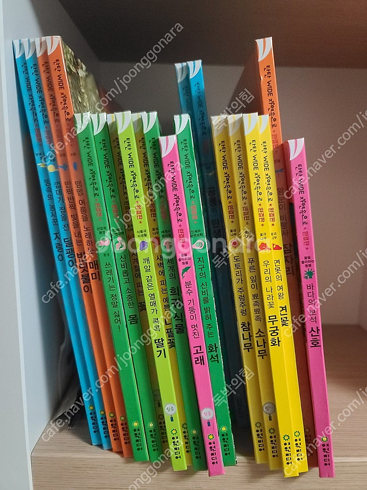 탄탄 와이드 자연속으로--2