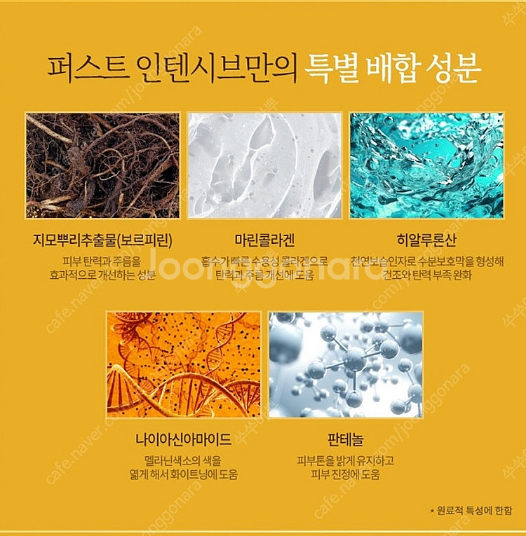 아름연 퍼스트 인텐시브 4 스텝--4