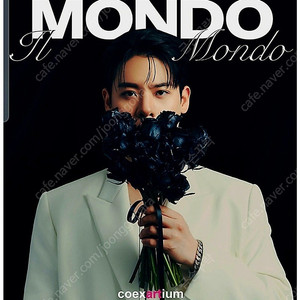 2025 유채훈 크로스오버 콘서트 IL MONDO 연석 양도합니다