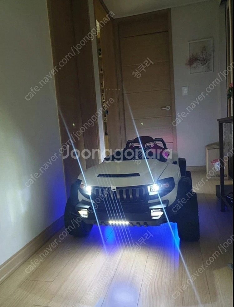 헤네스 t870 디스플레이 모델 인산철24v배터리팩 포...--6