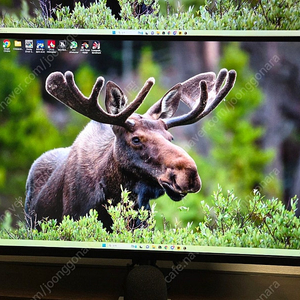 포인트프로덕트 27인치 나노ips qhd 165hz 모니터팝니다