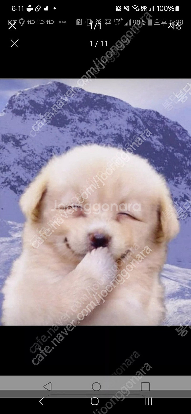 cu 5000원 모바일 상품권 팔아요--0