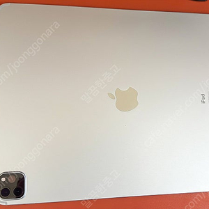 iPad 12. M1 1TB 와이파이+셀룰러 ttt 실버