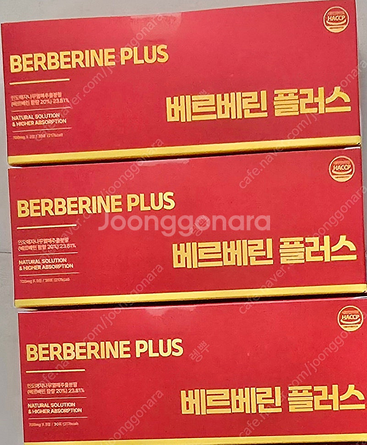 쉬가이아--0