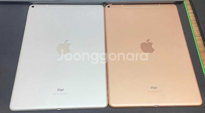 아이패드에어3 셀룰러 256GB 실버, 골드 상태좋은 ...--1