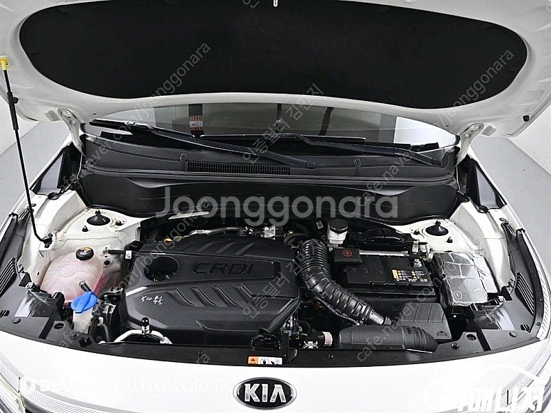 [기아]셀토스 디젤 1.6 2WD 프레스티지 (5인승)...--6
