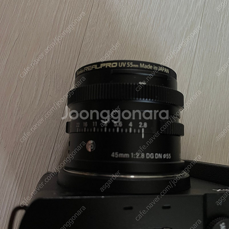 파나소닉 루믹스 S9 블랙, 시그마 45mm f2.8,...--6