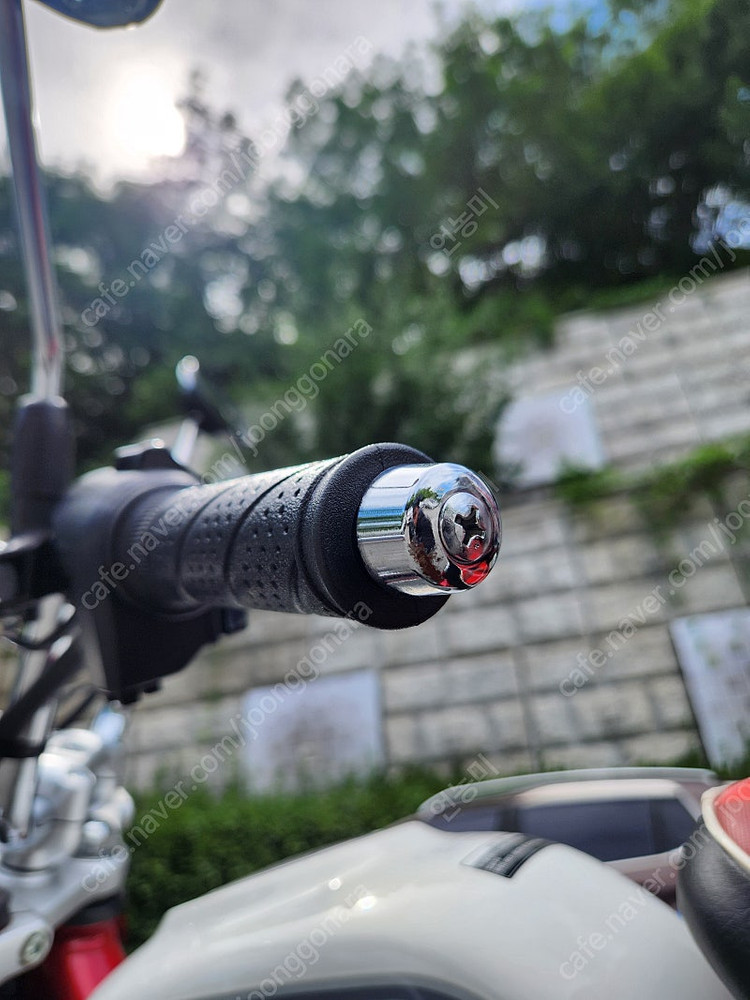 혼다 몽키125cc. 팝니다 2024년식 이미지