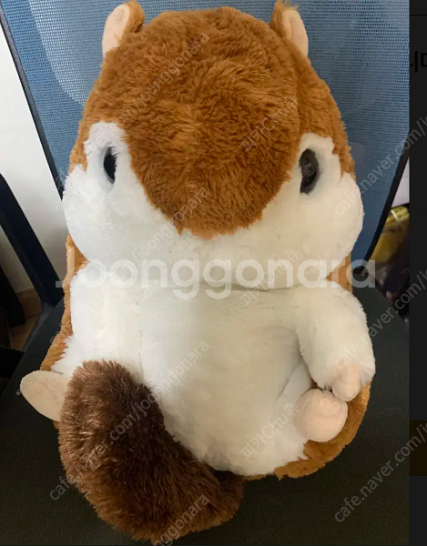 일본정품) 어뮤즈 햄스터 코론 다람쥐 인형 빅사이즈 팝...--0