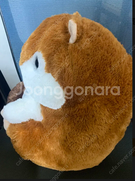 일본정품) 어뮤즈 햄스터 코론 다람쥐 인형 빅사이즈 팝...--1