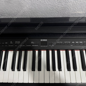 야마하 P-155 전자피아노 YAMAHA P155 디지털피아노