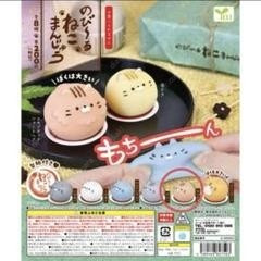 늘어나는 고양이 만두 만쥬 말랑이 스퀴시 가챠 미개봉 신품 판매