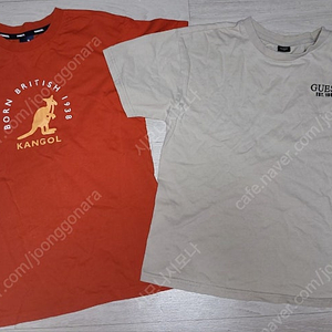캉골 145 ,게스 145