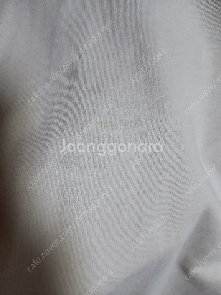 캉골 145 ,게스 145--2
