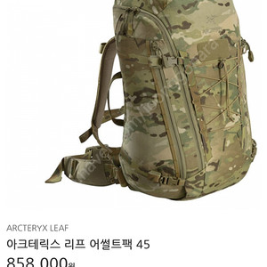 아크테릭스 리프 어썰트 45L