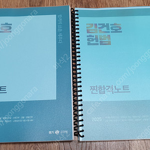 2025 김건호 헌법 찐합격노트 팝니다.