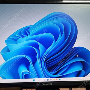 뉴싱크24DP144 24인치 144Hz 모니터 팝니다