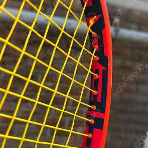 헤드 레디컬 프로 PRO 2023