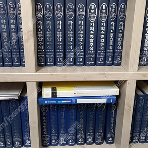 카리스종합주석 전권